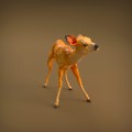 35130420_resize-baby-deer-2.jpg