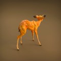 35130420_resize-baby-deer-4.jpg