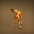 35130420_resize-baby-deer-8.jpg