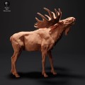 35130425_resize-moose-call-1.jpg