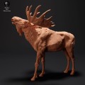 35130425_resize-moose-call-2.jpg