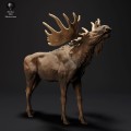 35130425_resize-moose-call-3.jpg