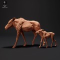 35130427_resize-moose-family-1.jpg