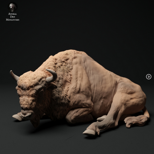 35130428_35_European Bison Cow Lying.png
