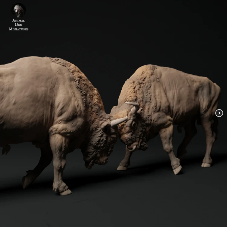 35130429_70_European Bison Bulls Fight.png