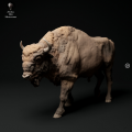 35130430_40_European Bison.png