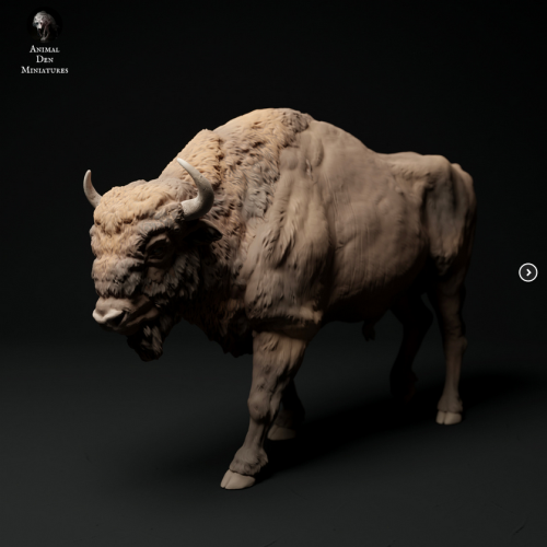 35130430_40_European Bison.png