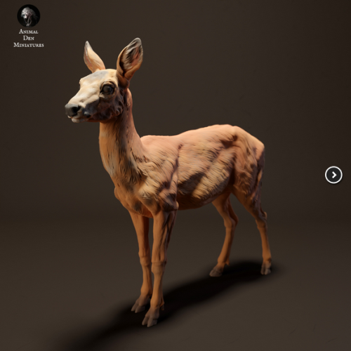 35130436_10_Roe Deer Doe.png