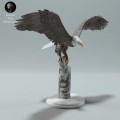 35130527_resize-bald-eagle-stand-1.jpg