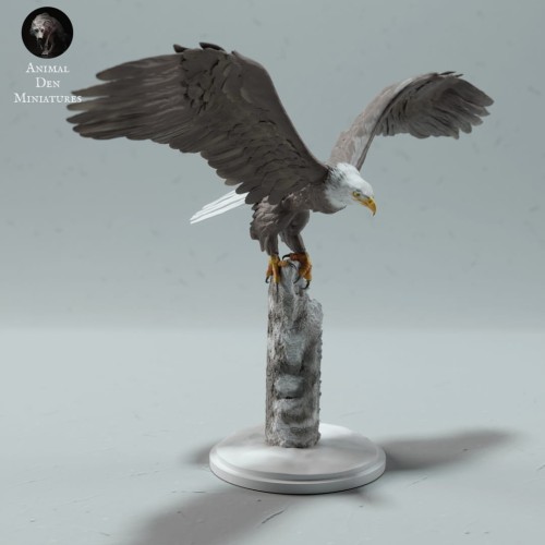 35130527_resize-bald-eagle-stand-1.jpg
