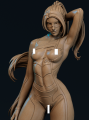R1.png