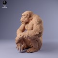 35130230_chimp_male_sit_1.jpg