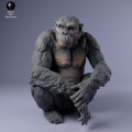 35130230_chimp_male_sit_3.jpg