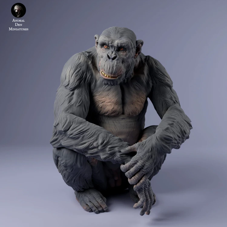 35130230_chimp_male_sit_3.jpg