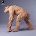 35130231_chimp_male_walk_2.jpg