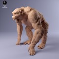 35130226_chimp_aggresive_1.jpg
