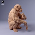 35130227_chimp_female_eat_1.jpg