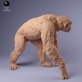 35130231_chimp_male_walk_1.jpg
