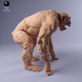 35130226_chimp_aggresive_2.jpg