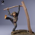 35130229_baby_chimp_3.jpg