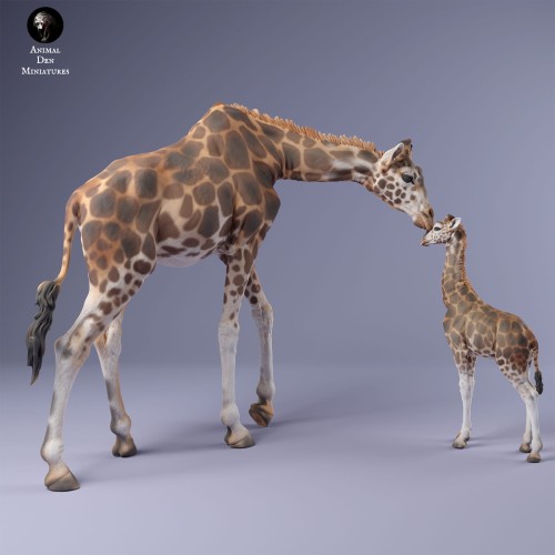 35130233_giraffe_female_and_calf_5.jpg