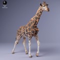 35130234_giraffe_male_walk_3.jpg