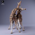 35130235_giraffe_fight_3.jpg