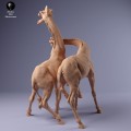35130235_giraffe_fight_1.jpg