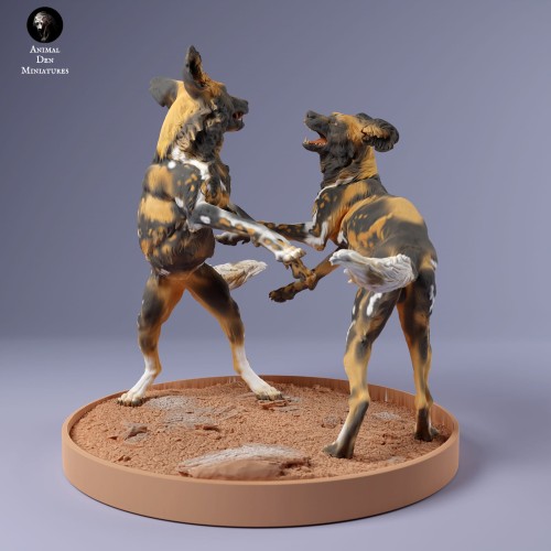 35130236_Painted Dogs Play 5.jpg