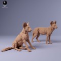 35130237_Painted Dogs Puppies 1.jpg