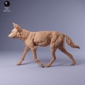 35130239_Painted Dogs Female Walk 1.jpg