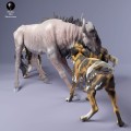 35130240_Painted Dogs Hunt 4.jpg