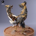 35130236_Painted Dogs Play 3.jpg