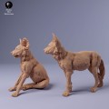 35130237_Painted Dogs Puppies 2.jpg