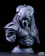 Predator_04.jpeg