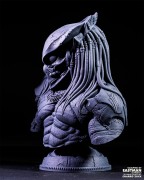 Predator_05.jpeg