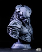 Predator_06.jpeg