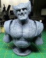 wolverine_print_3.jpg