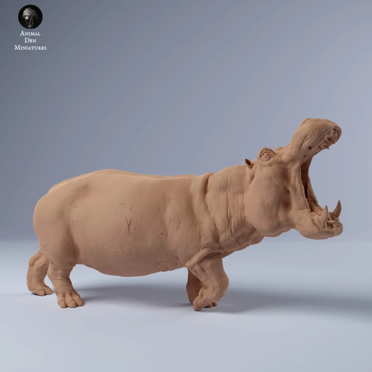 35130245_hippo_2.jpg