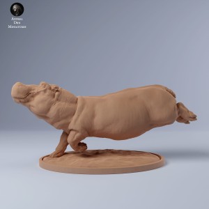 Hipopotam - samica pływająca - 1:35