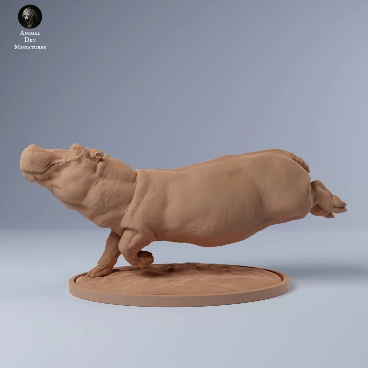 35130246_hippo_swim_1.jpg