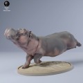 35130246_hippo_swim_3.jpg