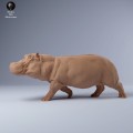 35130247_hippo_run_1.jpg