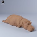 35130248_resize-hippo-sleep-1.jpg