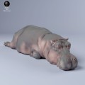 35130248_resize-hippo-sleep-3.jpg