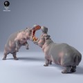 35130249_hippo_fight_3.jpg