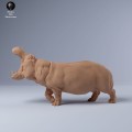 35130245_hippo_1.jpg