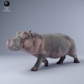 35130247_hippo_run_3.jpg