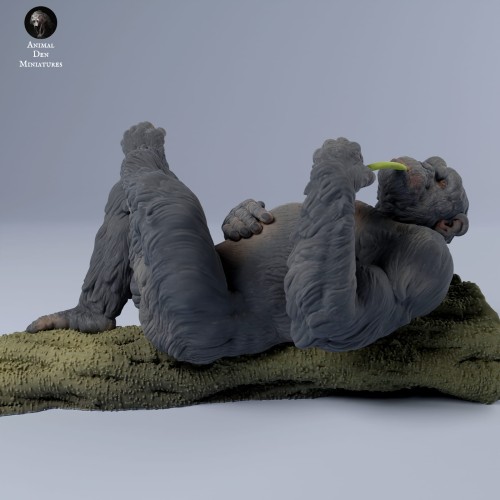 chimps_on_tree_3.jpg