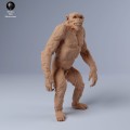 35130243_chimps_grin_1.jpg